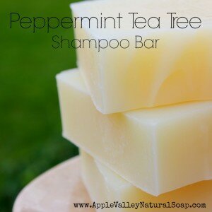 Peppermint Tea Tree Shampoo Bar | Apple Valley Natural Soap