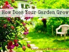 How Does Your Garden Grow?