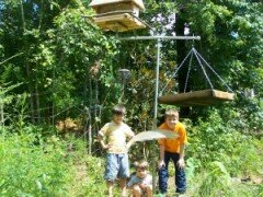 Building a Bird Garden with Your Children